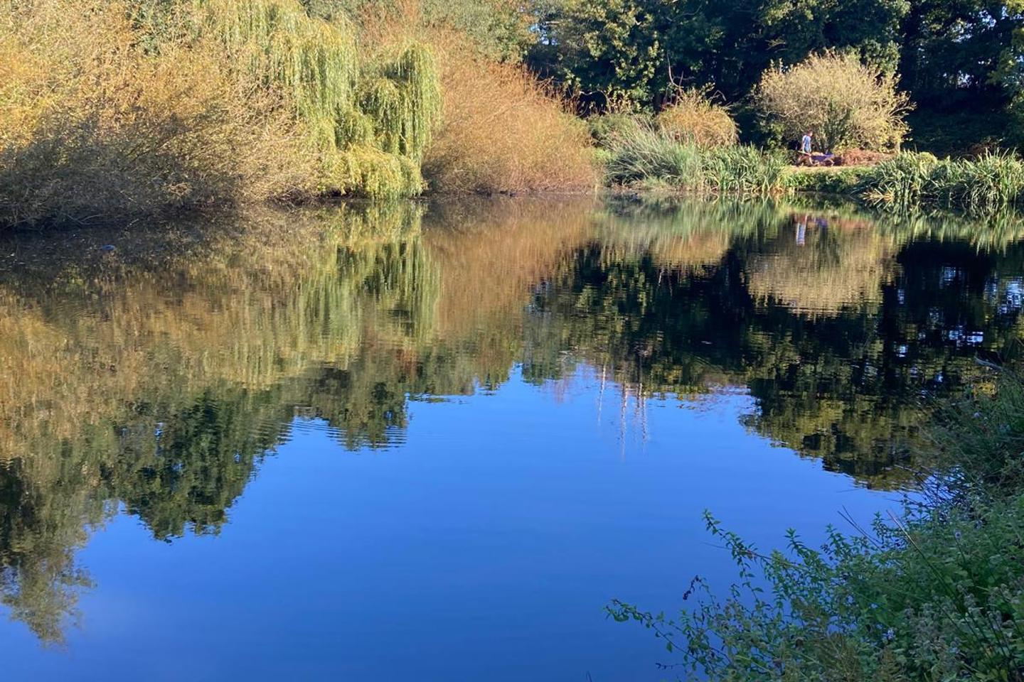 Pond Project